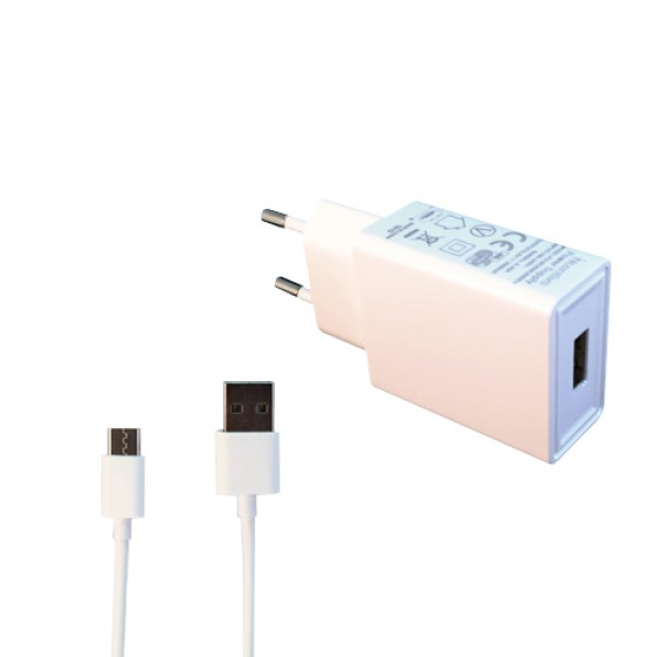 Incentive Travel Charger 2A Type C