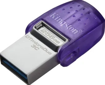 Kingston DTDUO3CG3/256GB
